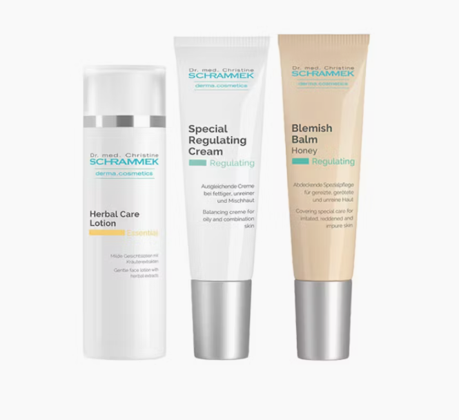 Skjermbilde 2025-11-24 153923