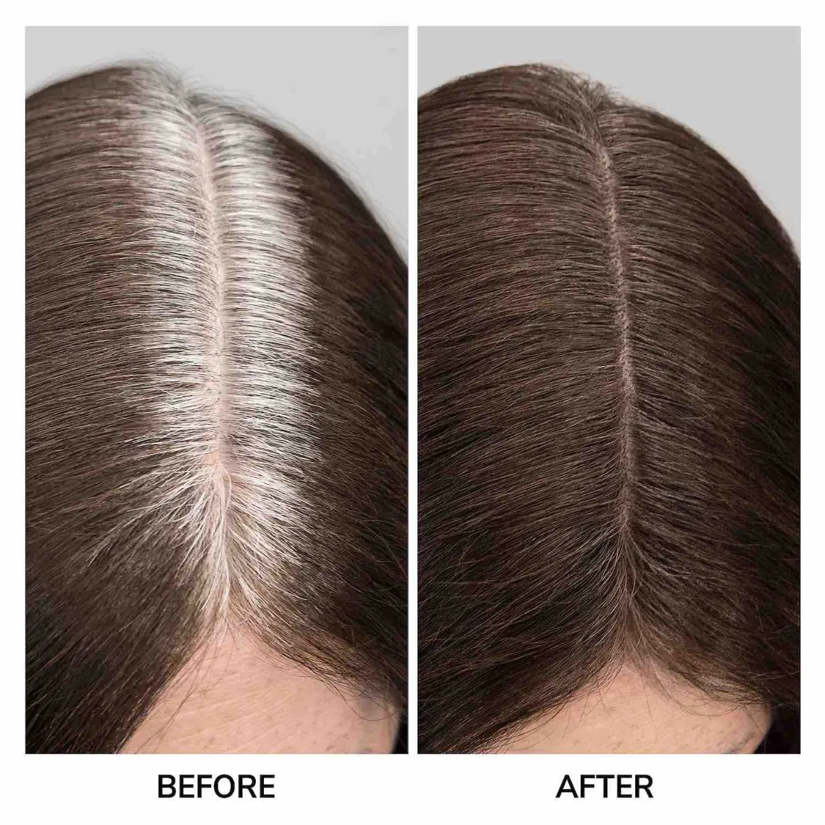 Root Cover Up - karusell