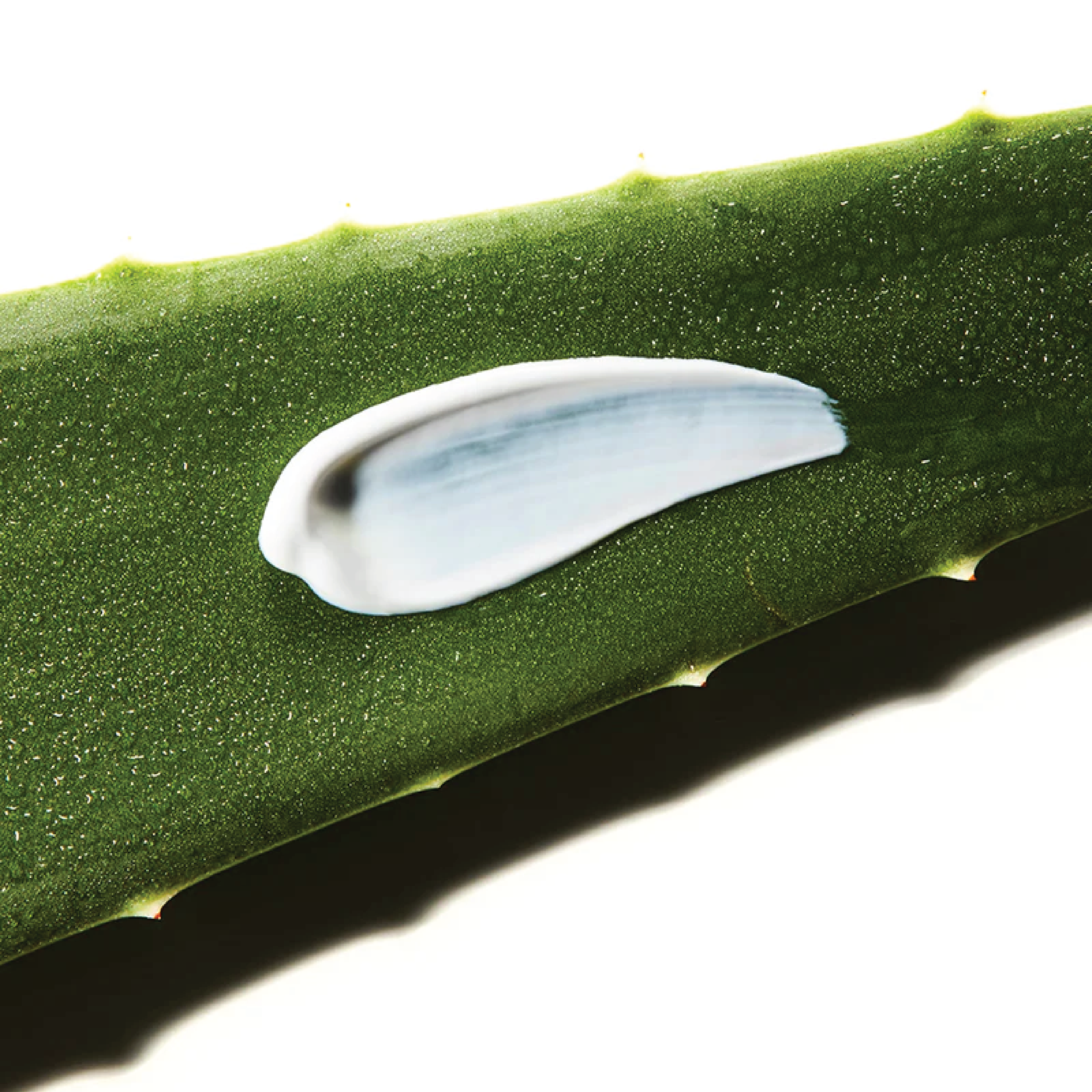 Aloe Soothing Sun Cream SPF 50+ 4